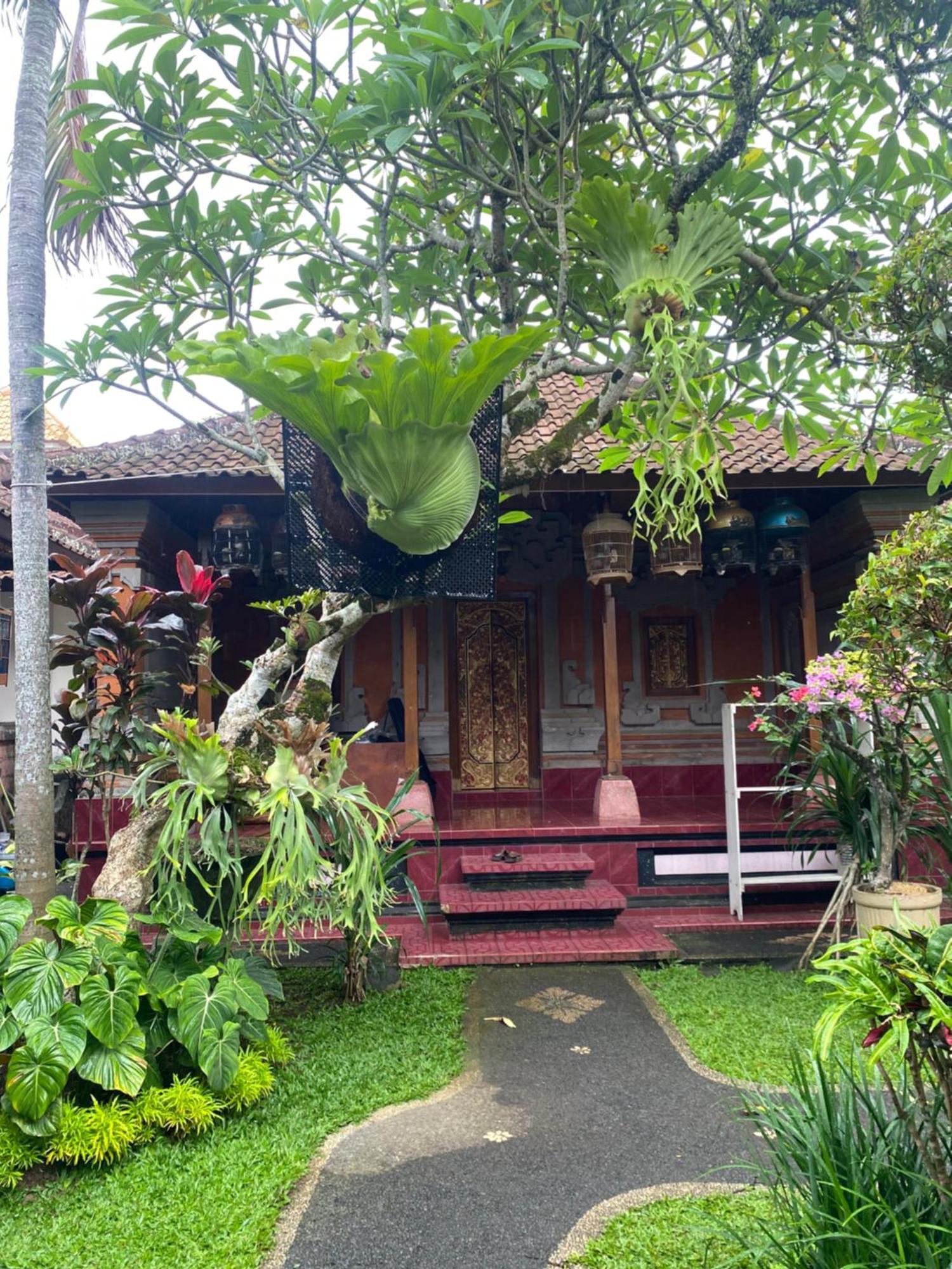 Suryadina Guest House Ubud  Exterior photo